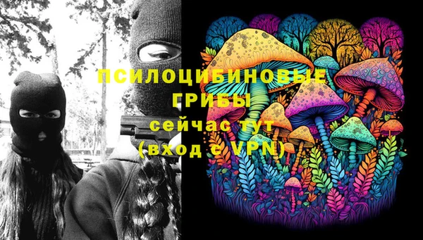 кристаллы Богданович