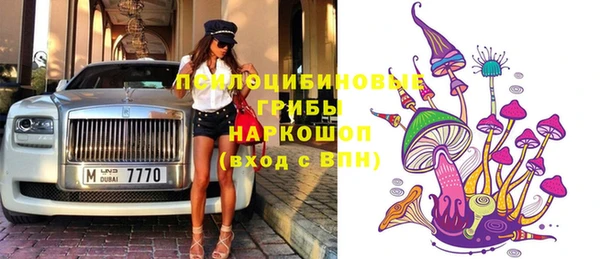 кокс Богородицк