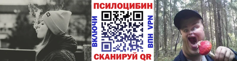 Псилоцибиновые грибы GOLDEN TEACHER  Томилино 